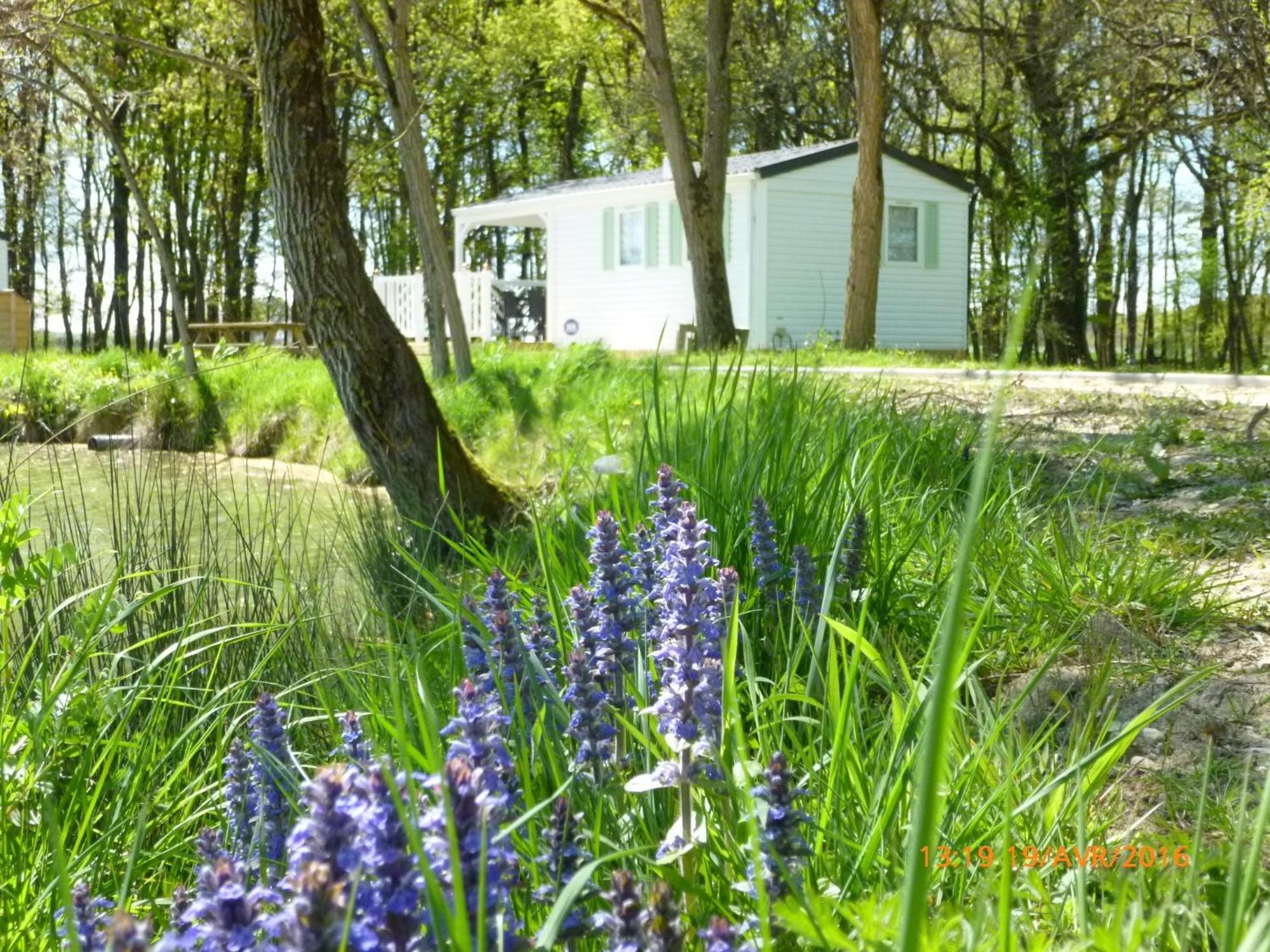 Au Clos De Beaulieu Holiday home *